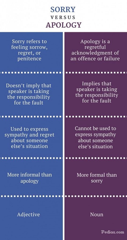 20230103165_sorry_vs_apology.jpg