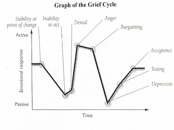 63_grief_cycle.jpg