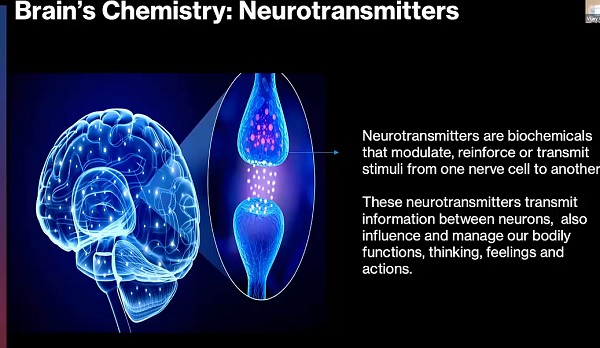 our_brains4.jpg